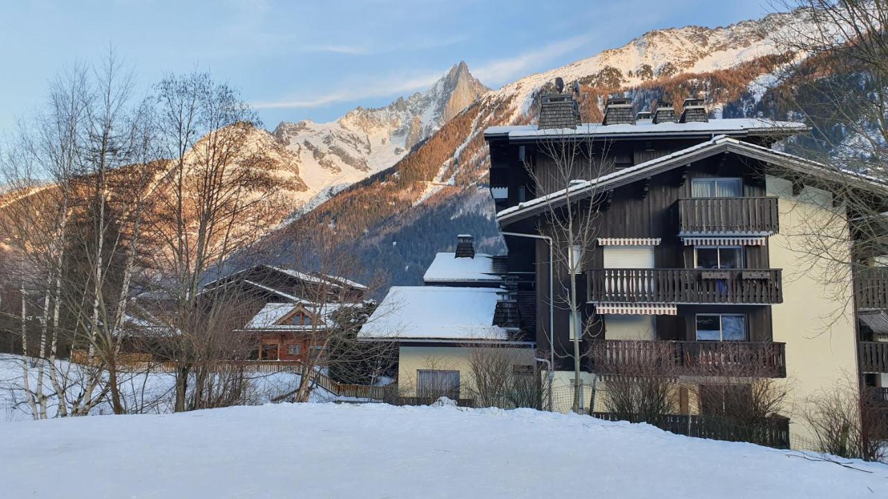 Ferienwohnung Cosy Flat On The Slopes And Centre Of Chamonix Exterior foto