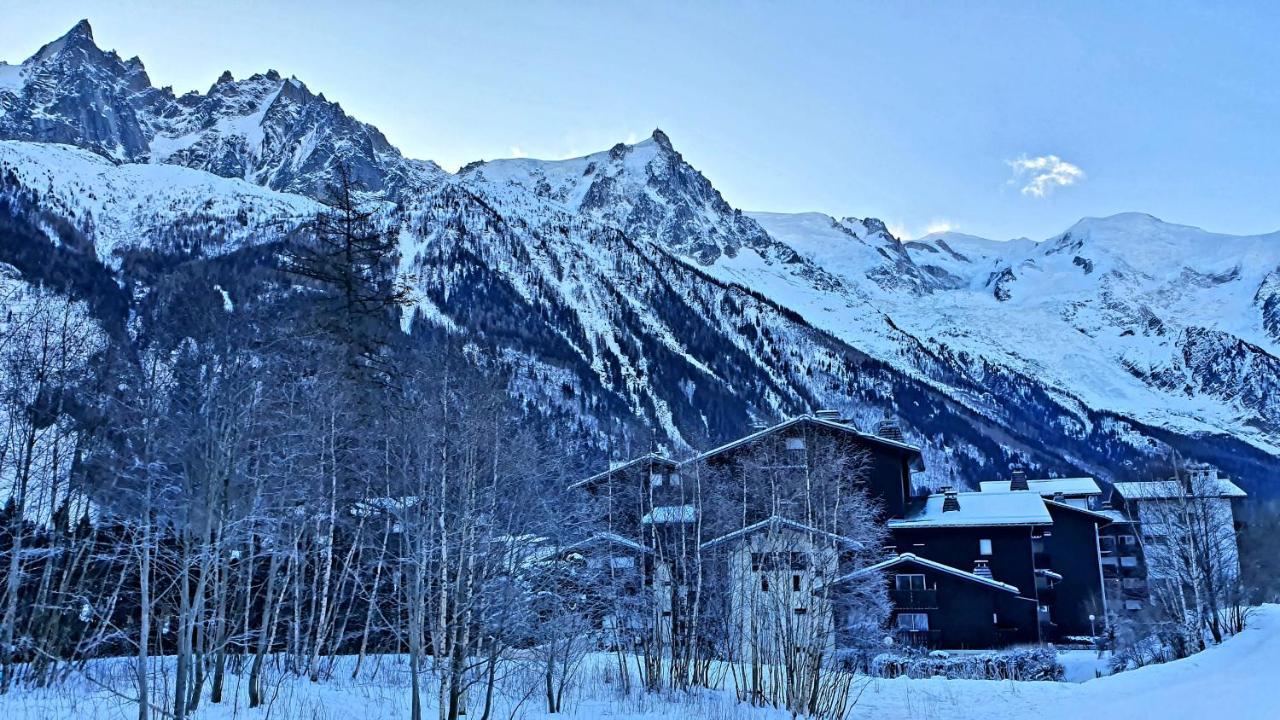 Ferienwohnung Cosy Flat On The Slopes And Centre Of Chamonix Exterior foto